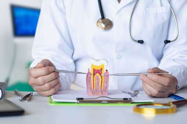 Best Emergency Treatment for Toothache in Shippensburg University, PA